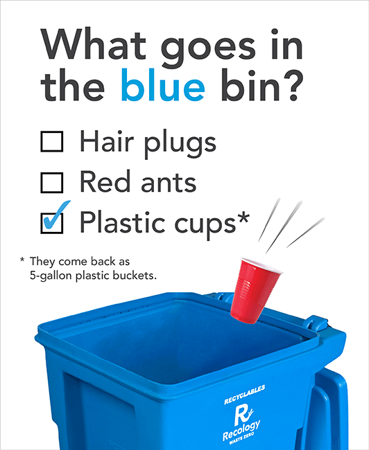 The Big Blue Bin